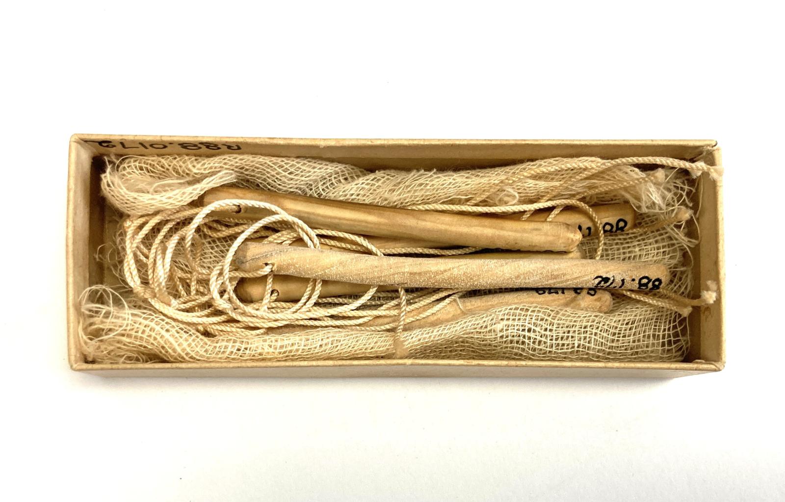 LAMINARIA, BOX OF TENTS Collections WA